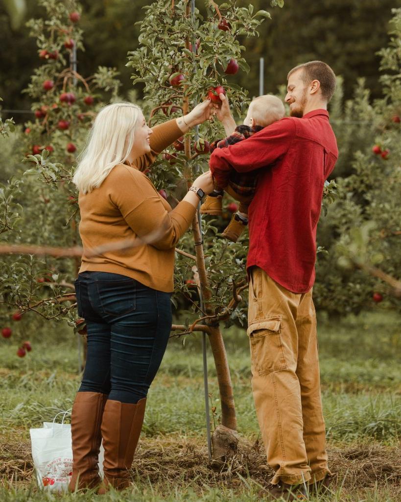 Two adults and an infant picking an apple form a tree in an orchard